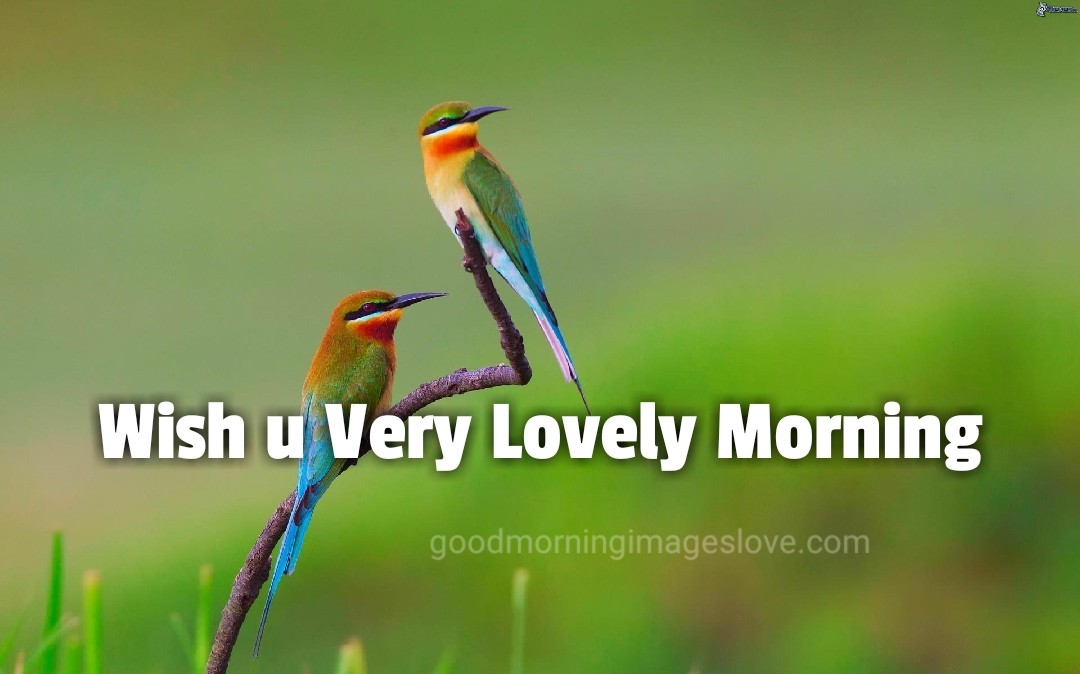 two little birds with greenery good morning