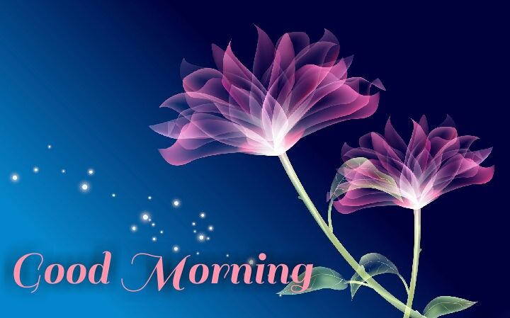 blue Lilly good morning images wishes