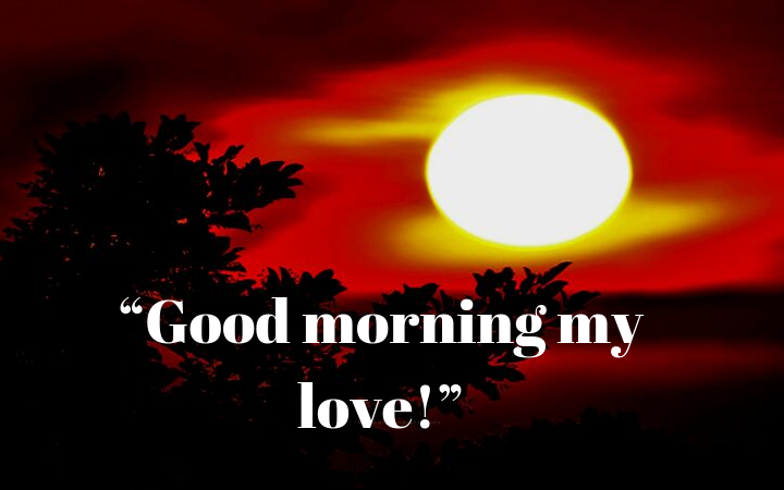 good morning my love goodmorningimageslove