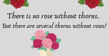 101 Quotes About Roses Life, Love and Thorns